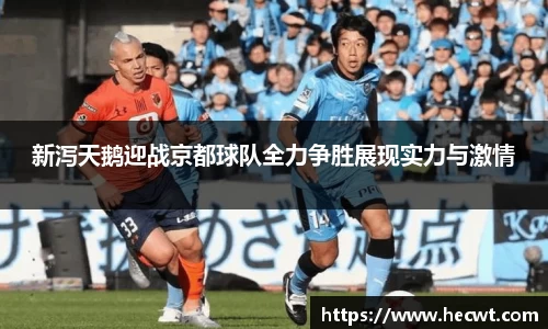 新泻天鹅迎战京都球队全力争胜展现实力与激情